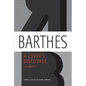 A Lover's Discourse: Fragments - Paperback