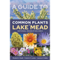 A Guide to Common Plants of Lake Mead National Recreation Area - Paperback