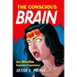 The Conscious Brain: How Attention Engenders Experience - Paperback
