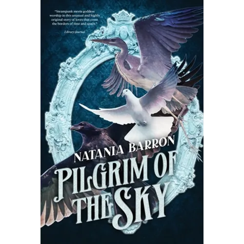 Pilgrim of the Sky - Paperback