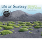 Life on Surtsey: Iceland's Upstart Island - Paperback