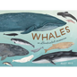 Whales: An Illustrated Celebration - Hardcover