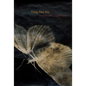 Greenhouses, Lighthouses - Paperback
