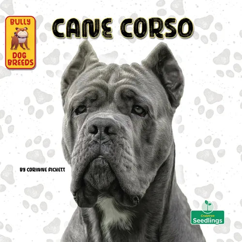 Cane Corso - Paperback