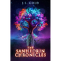 The Sanhedrin Chronicles - Paperback