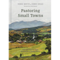 Pastoring Small Towns: Help and Hope for Those Ministering in Smaller Places - Hardcover