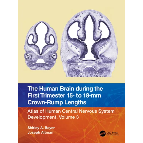 The Human Brain During the First Trimester 15- To 18-MM Crown-Rump Lengths: Atlas of Human Central Nervous System Development, Volume 3 - Paperback