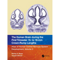 The Human Brain During the First Trimester 15- To 18-MM Crown-Rump Lengths: Atlas of Human Central Nervous System Development, Volume 3 - Paperback