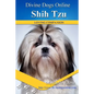Shih Tzu - Paperback