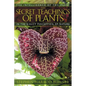 The Secret Teachings of Plants: The Intelligence of the Heart in the Direct Perception of Nature - Paperback