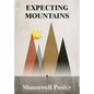 Expecting Mountains: Overcoming the Overwhelming Lows in Life - Hardcover