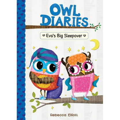 Eva's Big Sleepover: #9 - Library Binding
