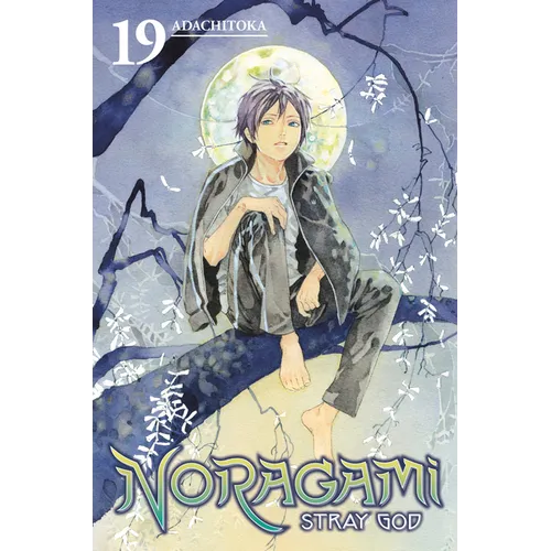 Noragami: Stray God 19 - Paperback