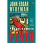 Fever - Paperback