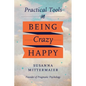 Pragmatic Psychology: Practical Tools for Being Crazy Happy - Paperback