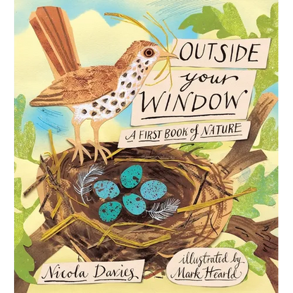 Outside Your Window: A First Book of Nature - Hardcover