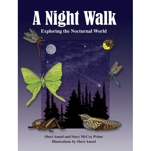 A Night Walk: Exploring the Nocturnal World - Hardcover