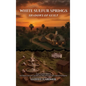 White Sulfur Springs: Shadows of Guilt - Hardcover