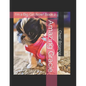 Amazing Gracie: I'm a Big Girl Now! Book 2 - Paperback