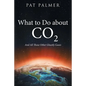 What to Do About Co2: And All Those Other Ghastly Gases - Paperback