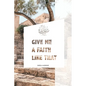Give Me A Faith Like That: A Walk In The Footsteps Of Old Testament Saints - Paperback
