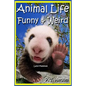 Animal Life Funny & Weird Land Mammals: Learn with Amazing Photos and Fun Facts About Animals and Land Mammals - Paperback