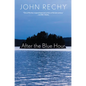 After the Blue Hour - Hardcover