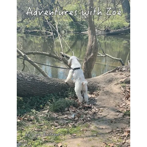 Adventures with Zoé - Paperback