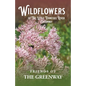 Wildflowers of The Little Tennessee River Greenway - Paperback
