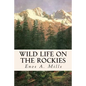 Wild Life on the Rockies - Paperback