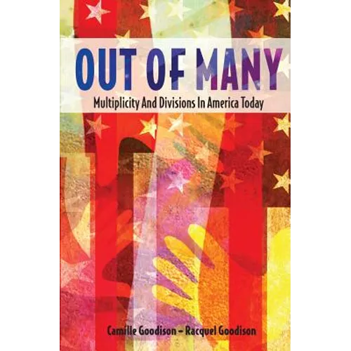 Out of Many: Multiplicity and Divisions in America Today - Paperback