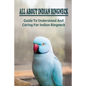 All About Indian Ringneck: Guide To Understand And Caring For Indian Ringneck: Fun Facts About Indian Ringneck - Paperback