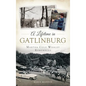 A Lifetime in Gatlinburg: Martha Cole Whaley Remembers - Hardcover