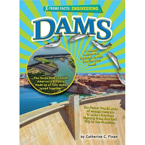 Dams - Paperback