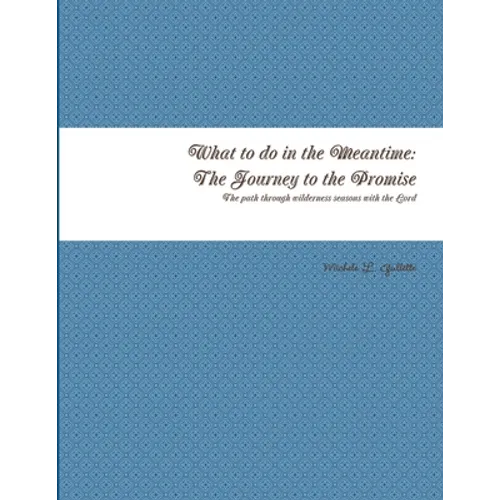 What to do in the Meantime: The Journey to God's Promises - Paperback