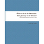 What to do in the Meantime: The Journey to God's Promises - Paperback