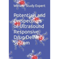 Potentials and Perspectives of Ultrasound Responsive Drug Delivery System - Paperback