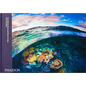 Two Worlds: Above and Below the Sea - Hardcover