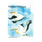 Hidden Motion - Hardcover