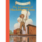 Classic Starts(r) the Adventures of Huckleberry Finn - Hardcover