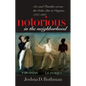 Notorious in the Neighborhood: Sex and Families Across the Color Line in Virginia, 1787-1861 - Paperback
