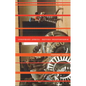 Lusophone Africa: Beyond Independence - Paperback