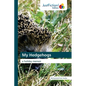 My Hedgehogs - Paperback