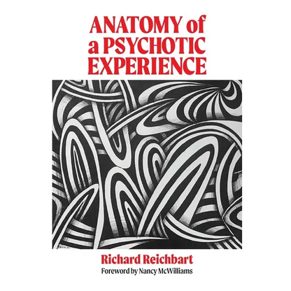 Anatomy of a Psychotic Experience - Paperback