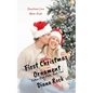 First Christmas Ornament: A Fulton River Falls Novella - Paperback