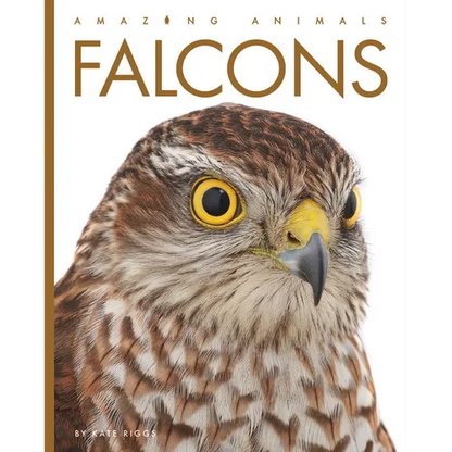 Falcons - Library Binding