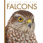 Falcons - Library Binding