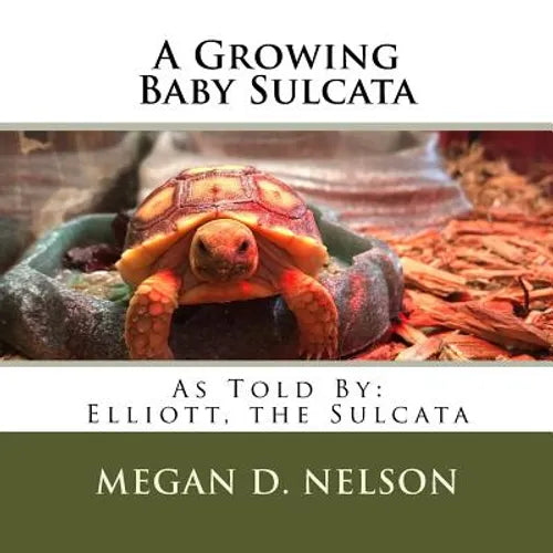 A Growing Baby Sulcata - Paperback