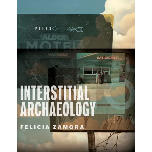 Interstitial Archaeology - Paperback