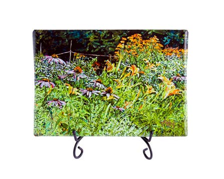 Laura's Patch Mini Giclee